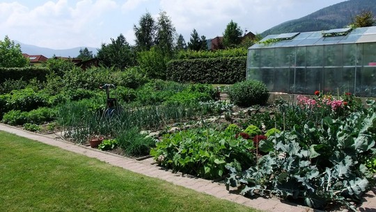 zeleninova zahrada